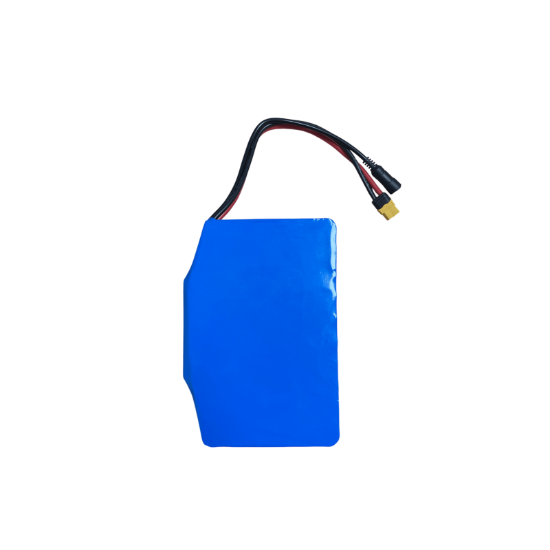 Batterie Cross - Skateboard Électrique Evo-Spirit