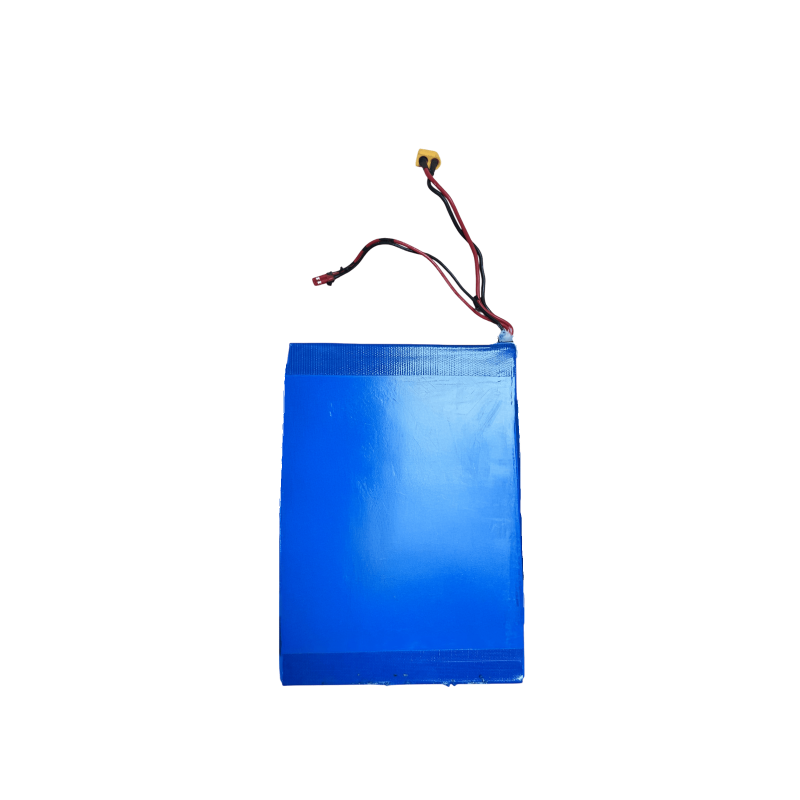 Batterie Medium Range 5,2 A.h pour Cruz V2 - Skateboard Électrique Evo-Spirit