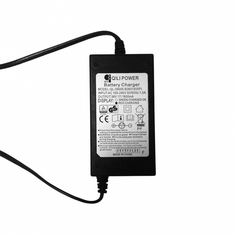 Chargeur d'Anciens Modèles de Skateboards électriques Evo-Spirit