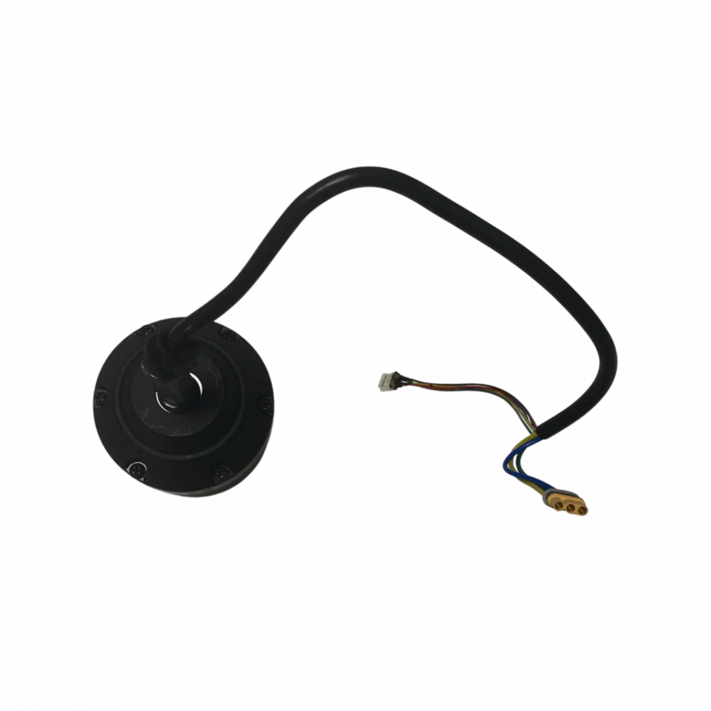 Moteur 600W pour Cruz V2 - Skateboard Électrique Evo-Spirit