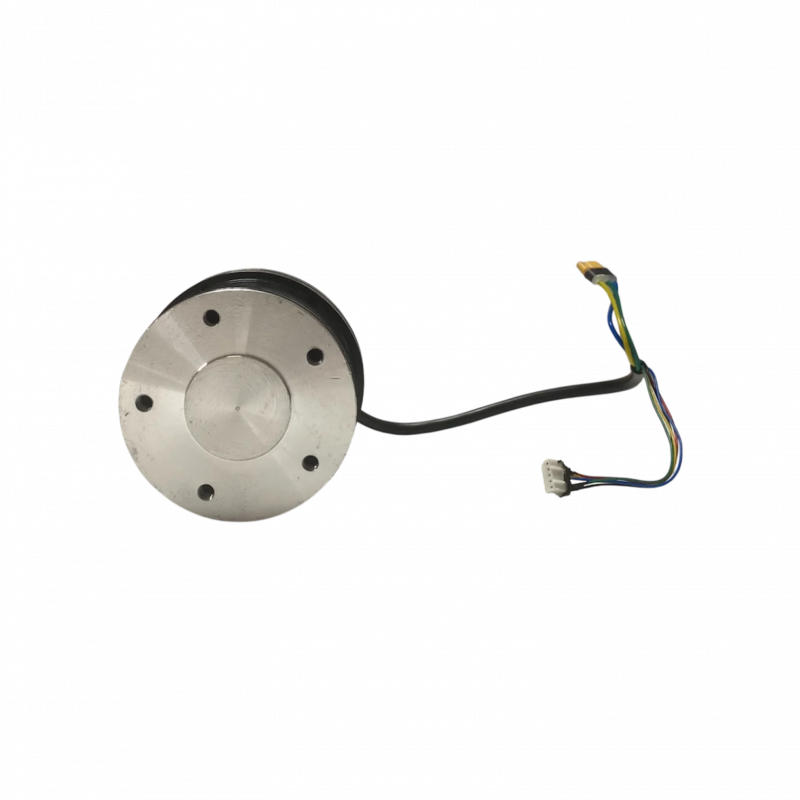 Moteur 600W pour Cruz V2 - Skateboard Électrique Evo-Spirit