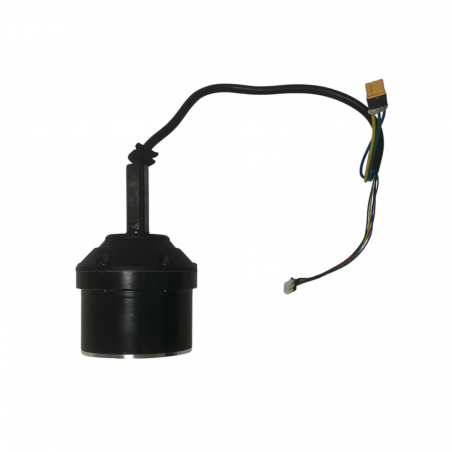 Moteur 600W para Cruz V2 - Skateboard Eléctrico Evo-Spirit