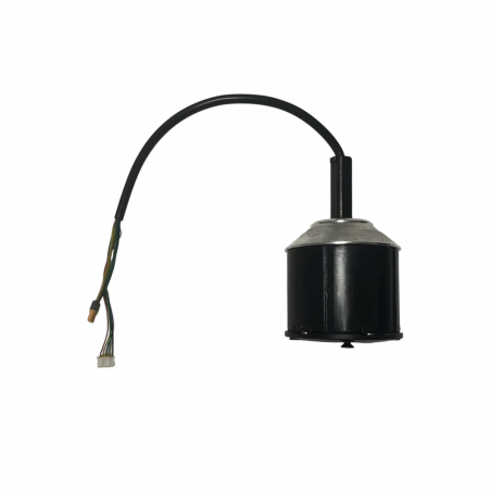 Moteur 600W para Curve V4 1ère génération - Skateboard Elétrico Evo-Spirit